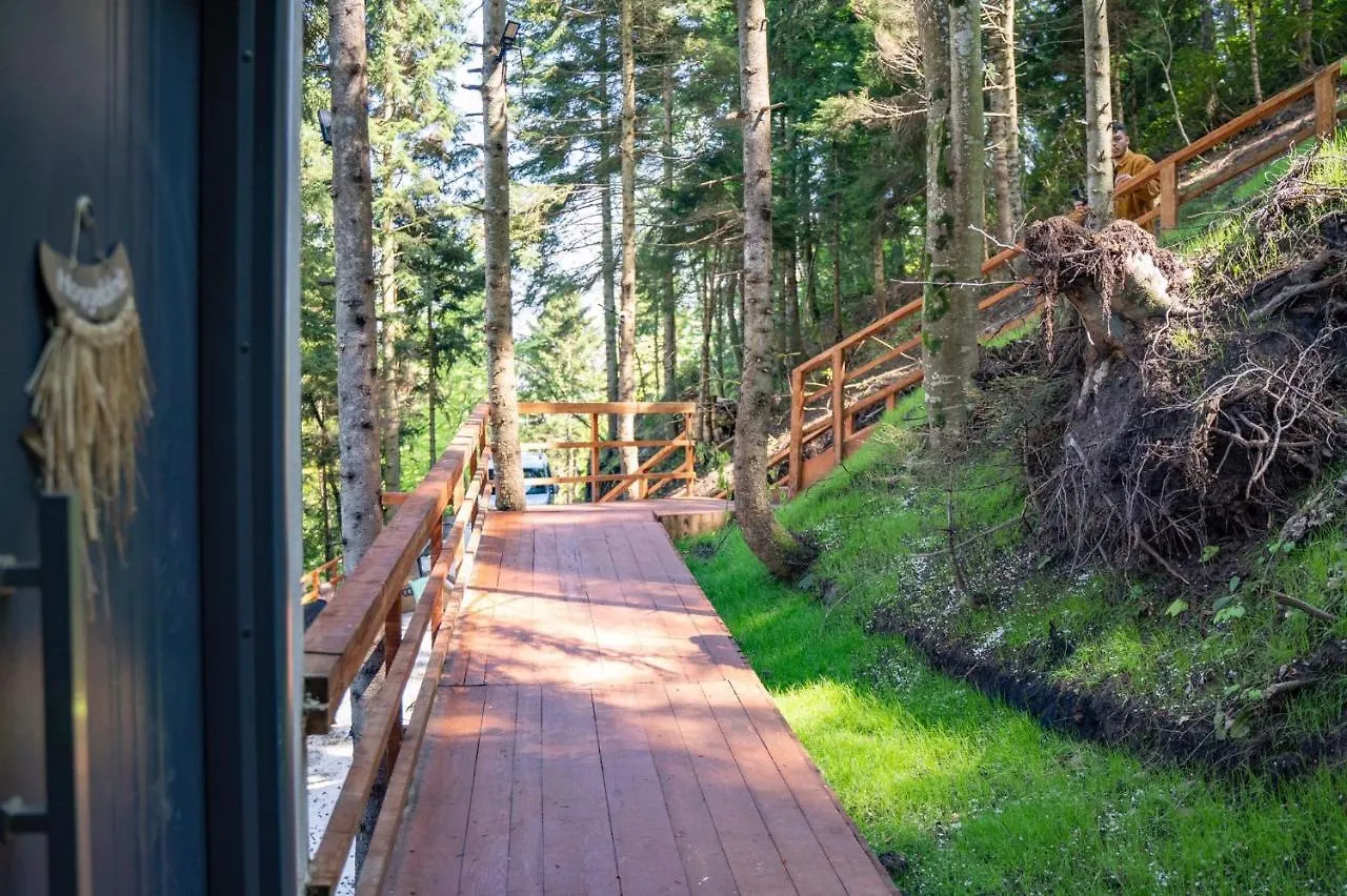 Montana Suite Bungalows ترابزون