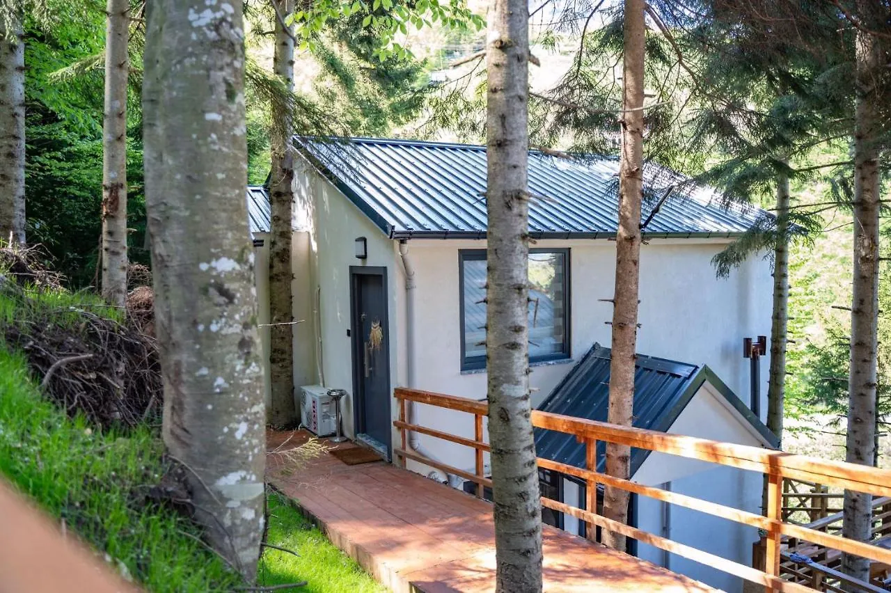 טראבזון Montana Suite Bungalows 0*,