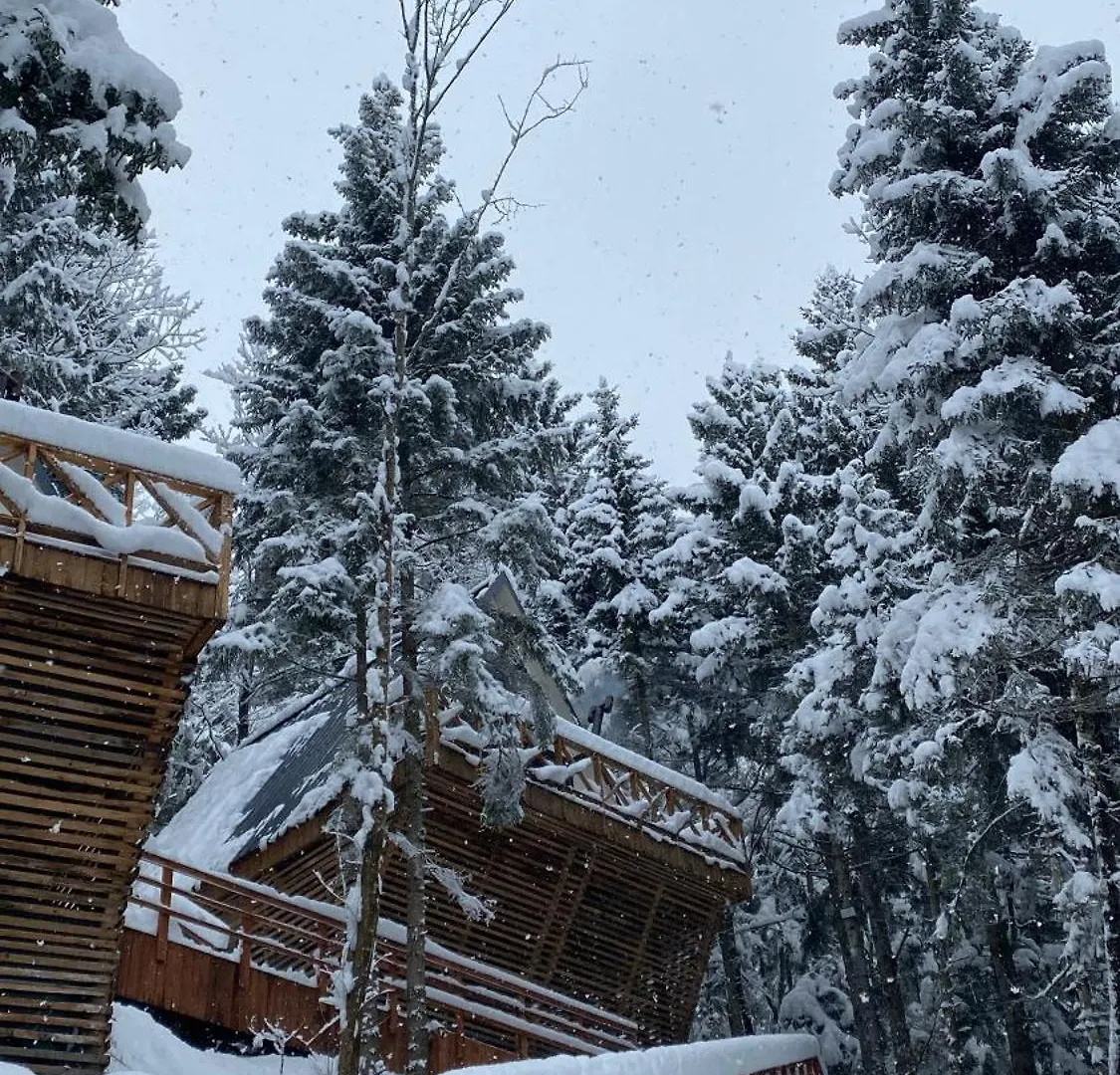 Montana Suite Bungalows ترابزون 0*,  تركيا