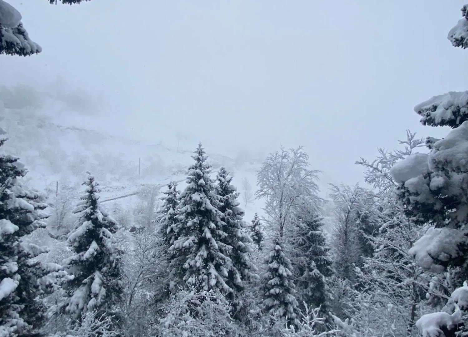بيت للعطل Montana Suite Bungalows ترابزون