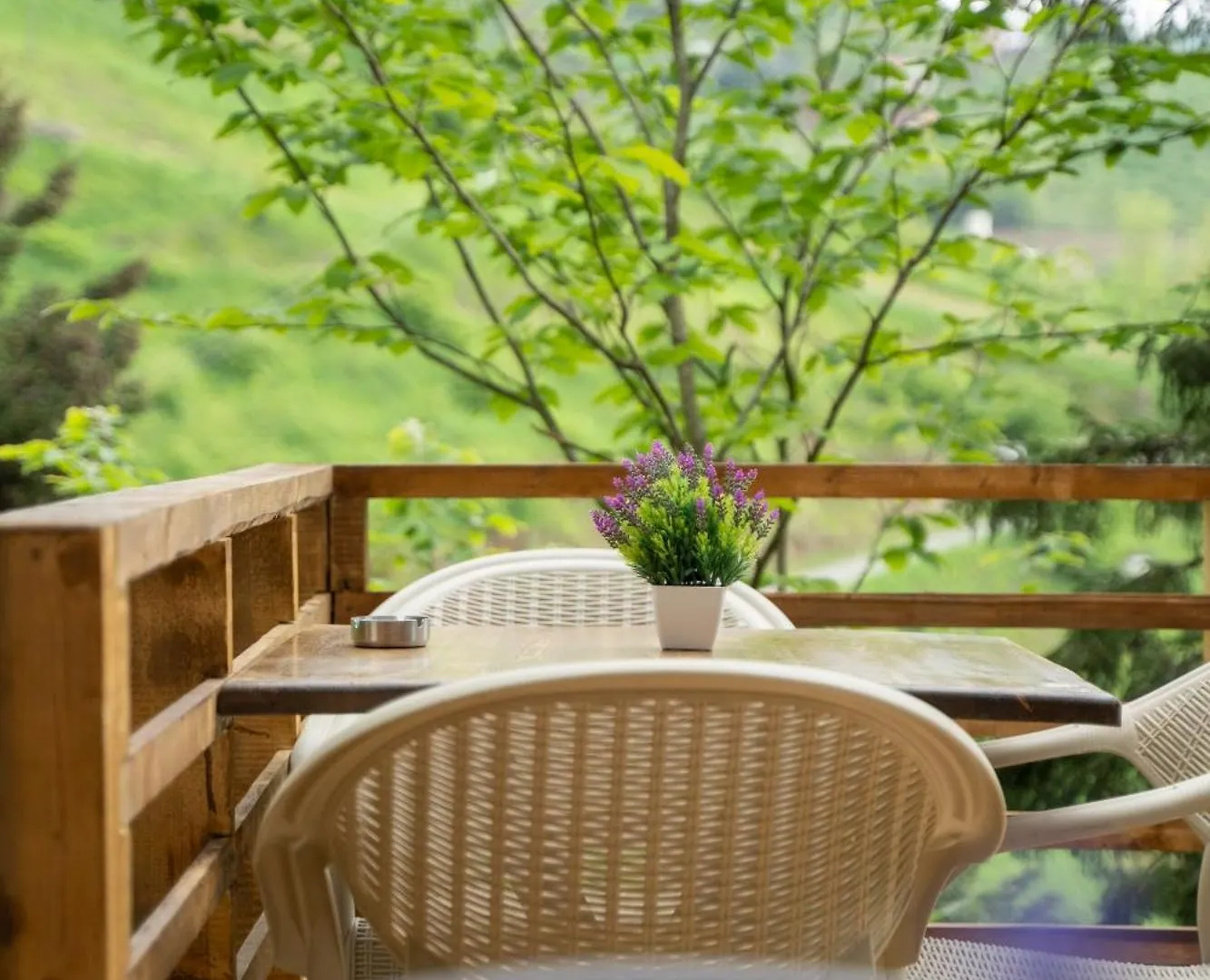 Montana Suite Bungalows ترابزون